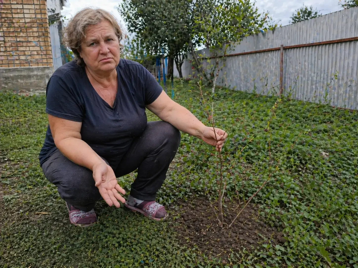 Типова проблема з ринку